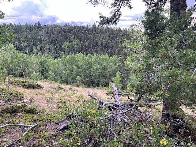 Lot 6184 Ryland Road