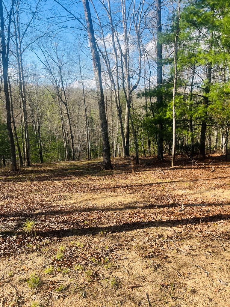 Nice 2-acre parcel with gentle access and water rights, set in a quiet country setting just outside of Murphy. The land lays well with options for a homesite, offering an easy start whether you're planning a full-time home or a weekend retreat. The surrounding neighborhood is peaceful and well-kept, giving you that tucked-away feel without being too far out. Conveniently located near some of the area's best outdoor recreation, including hiking, rafting, and nearby lakes. A solid piece of property with the right combination of usability, location, and natural appeal.