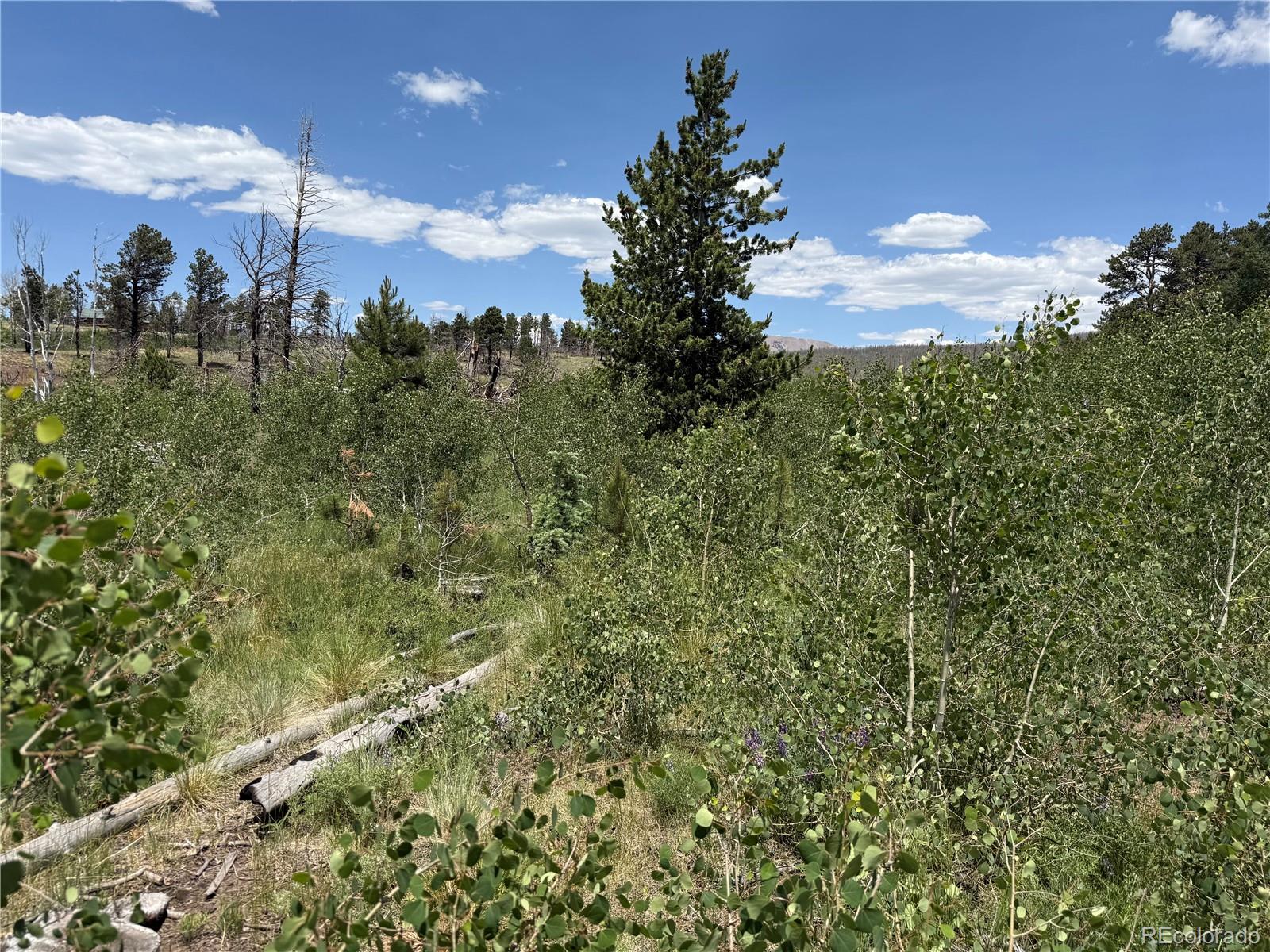 Lot 1103 Emery Loop