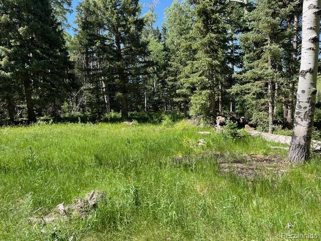 Lot 2684 Coder Place