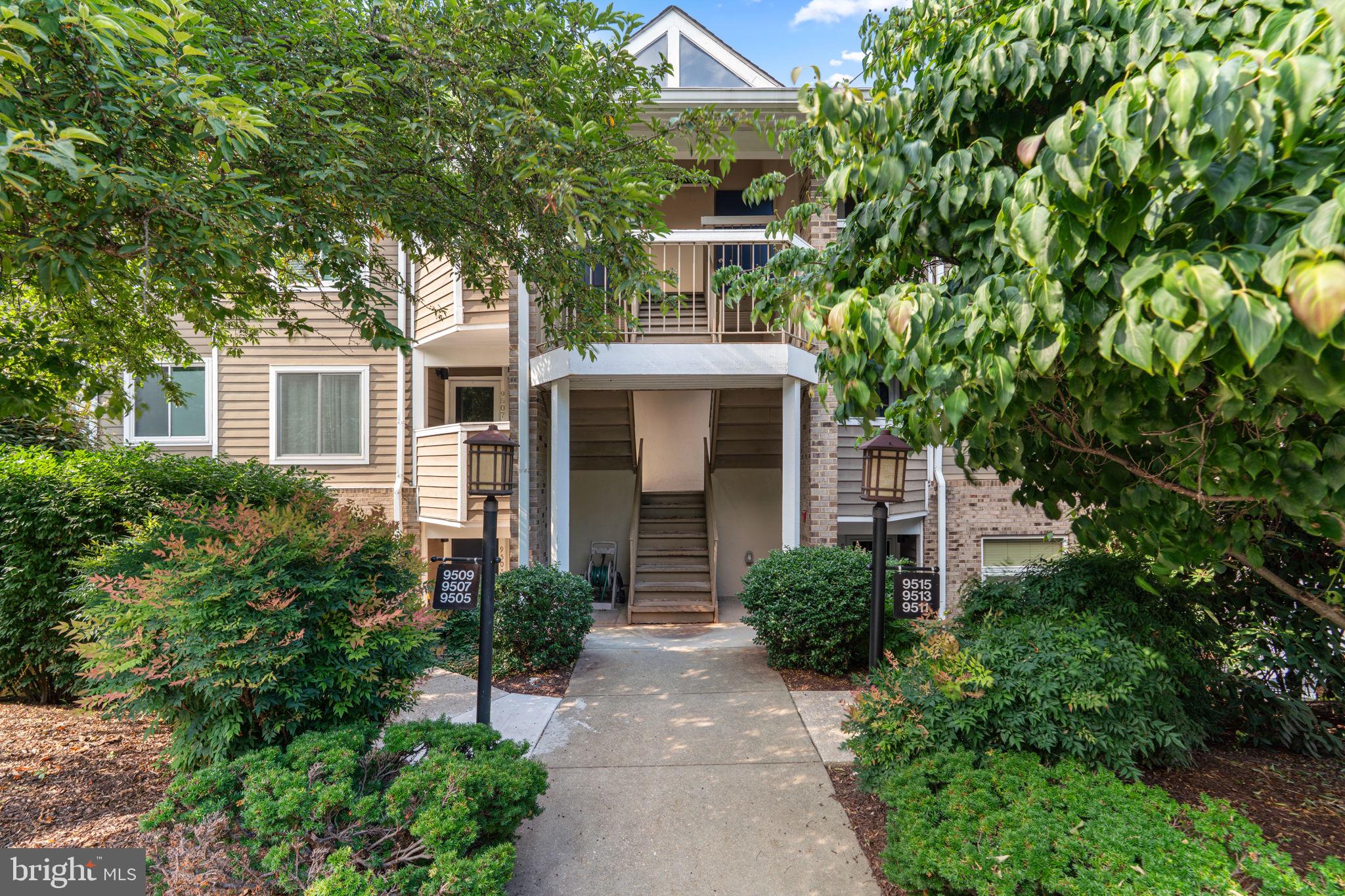 9515 Hickory Limb 304