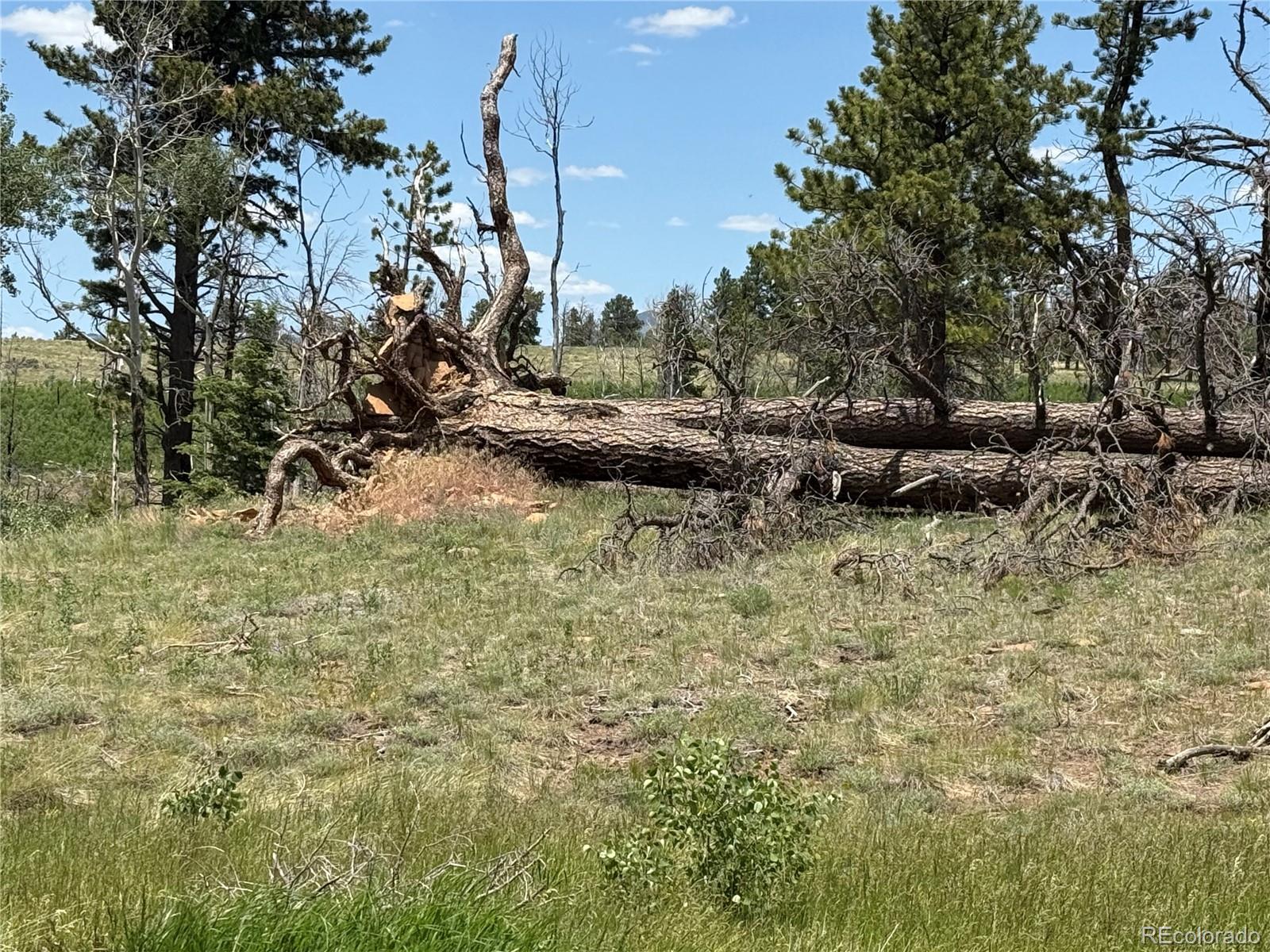 Lot 1103 Emery Loop