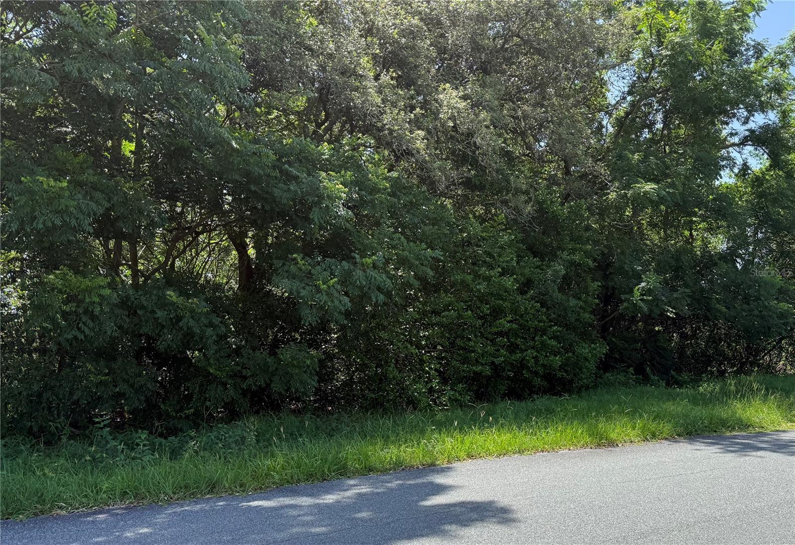 Hutchinson Way