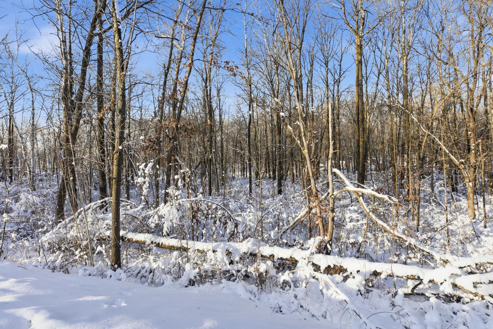 27331 Honey Hill Road