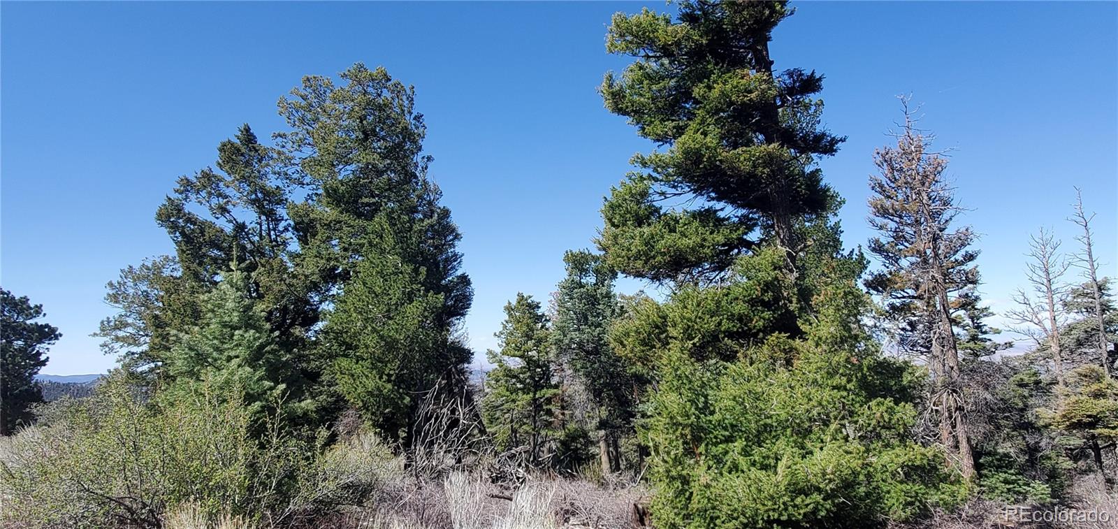 Lot 5802 Tagge Road
