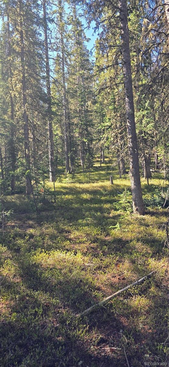 Lot 6515 Doyle Road