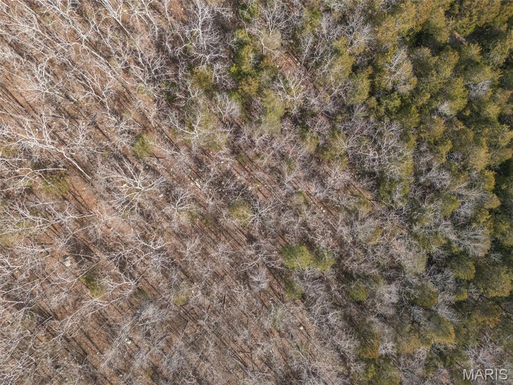 12.5+/- Acres On Effin Road