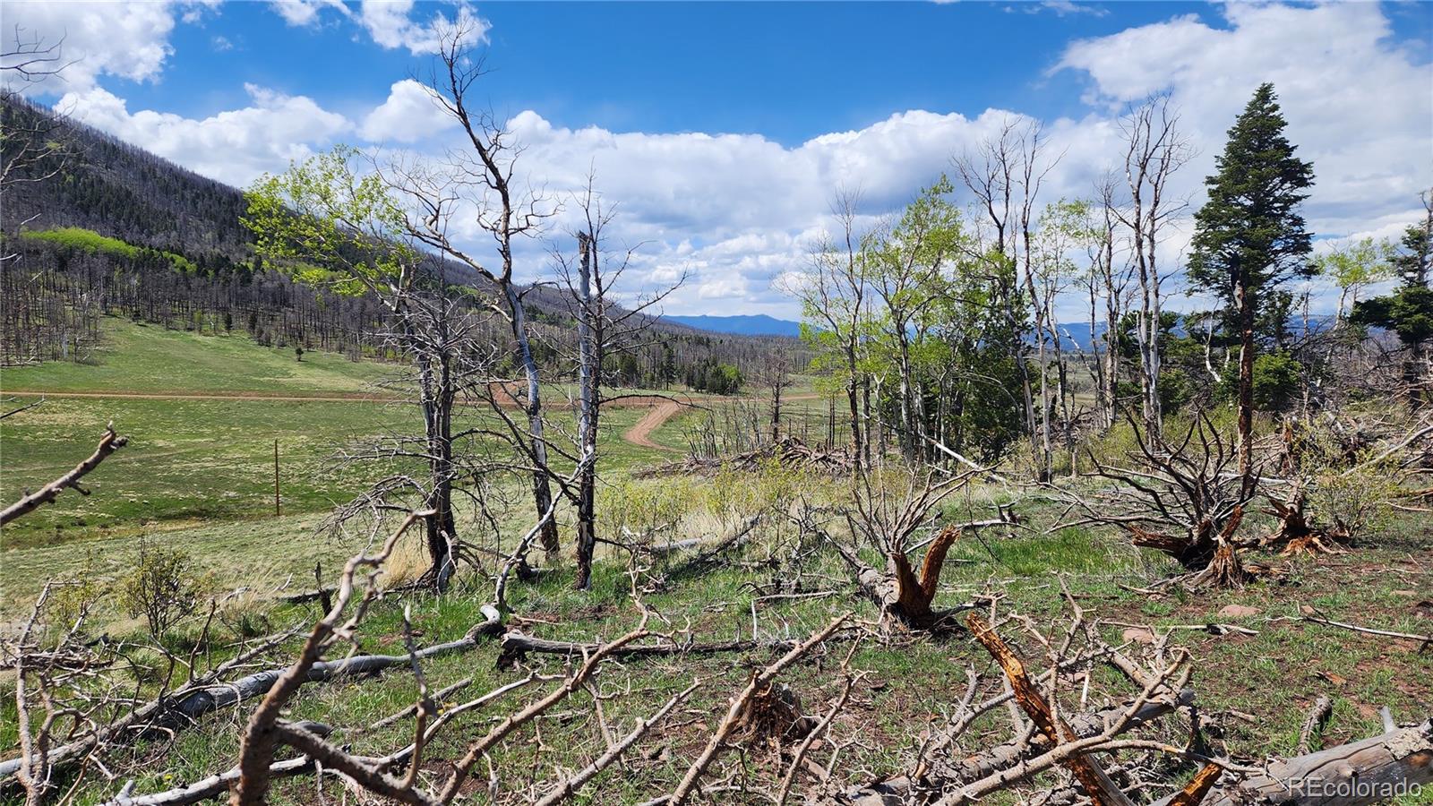 2334 Wohlstetter Loop