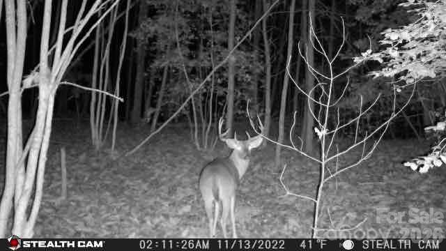 TBD Taylorsville Road