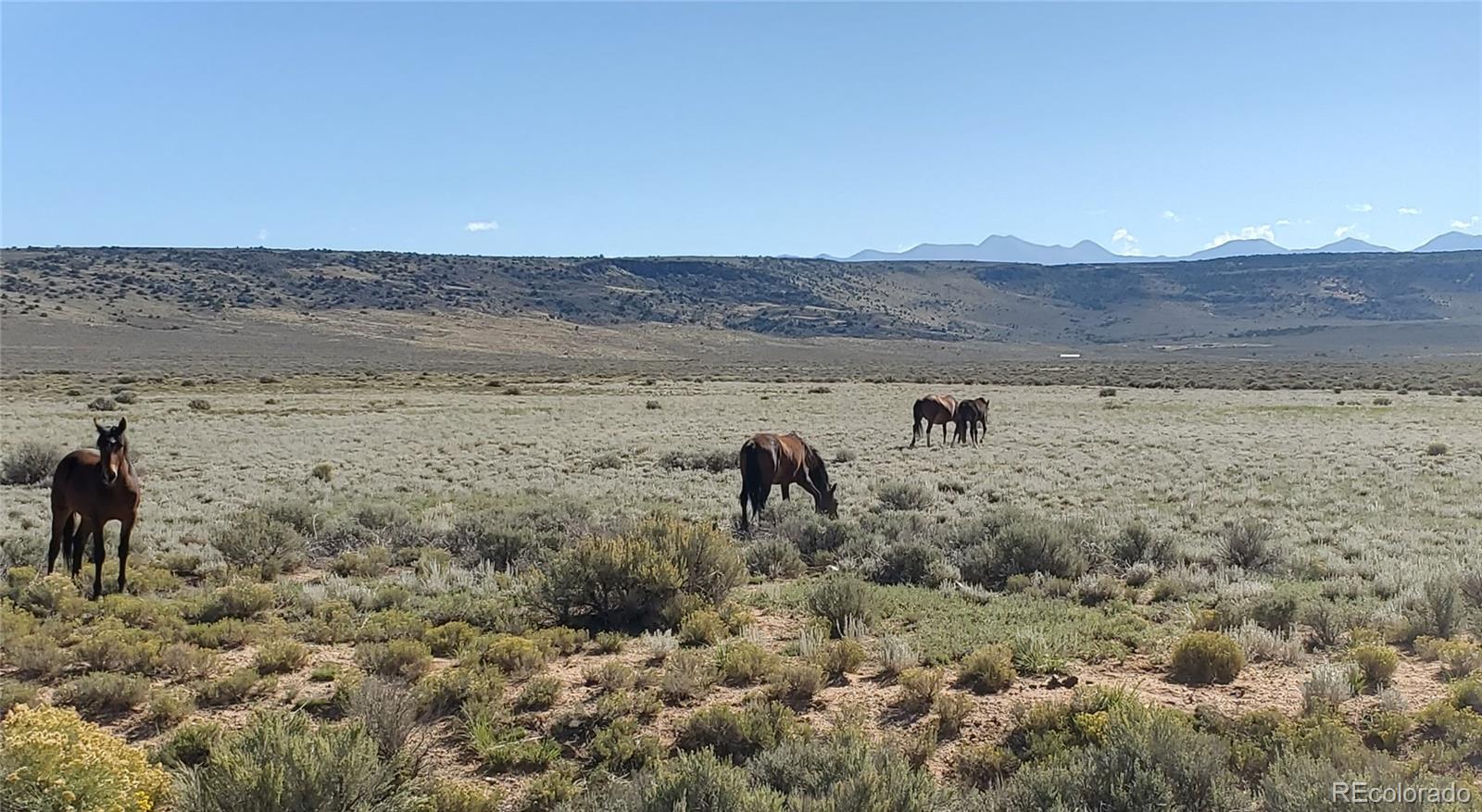 Tbd 154 Ac Vacant Land