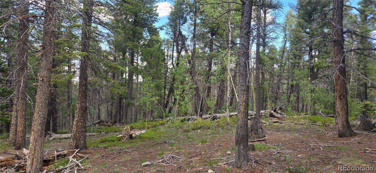 Lot 5778 Balleroy Road