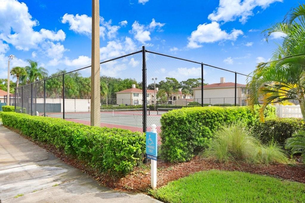10359 Carrollwood Lane 157