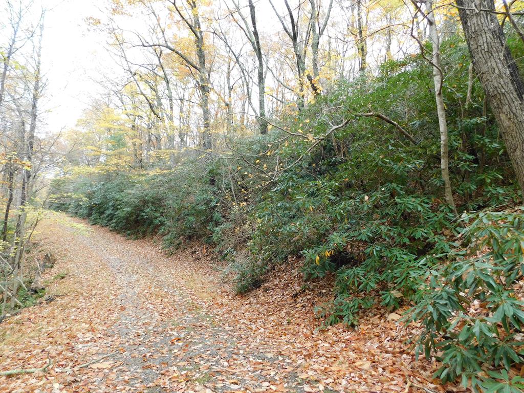 Private wooded land and no need to dig a well! Private mountain building site in desirable Cascade Mountain Resort. Already surveyed, all wooded to tuck your Blue Ridge Parkway Get-A-Way on. Nearly 1 acre with the 2 adjoining parcels. Cascade Mountain offers all new swimming pool, fishing pond, picnic areas, playground, tennis and basketball courts, clubhouse, community water, trash and paved roads. Located in the heart of the Blue Ridge Mountains directly off the scenic Blue Ridge Parkway. Come enjoy all the amenities with your family, friends and grandkids. There is so much to do and so many places to access from this central location. Your investment is protected by gentle covenants also in this well maintained gated community. Enjoy the deer, wildlife, hike the community to experience the waterfalls up here too. Buy the land and you can enjoy all the amenities even if you don't build. Information deemed reliable. Buyer to perform their own due diligence.