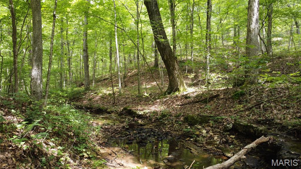 10223 San Juan Trail