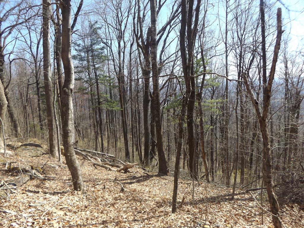 Building lot in Chalet High with Piedmont Views! This wooded building lot features paved road frontage, community water is available, long range Piedmont views with some clearing of trees, Chalet High Amenities and the list goes on! Amenities include swimming pool, clubhouse, playground, picnic shelter, shuffleboard area, basketball and tennis courts, community water, trash pickup and so much more! Don't miss out on this nice lot to build your dream home on or place to come and enjoy the amenities of Chalet High right off the Blue Ridge Parkway and just minutes to Interstate 77!
