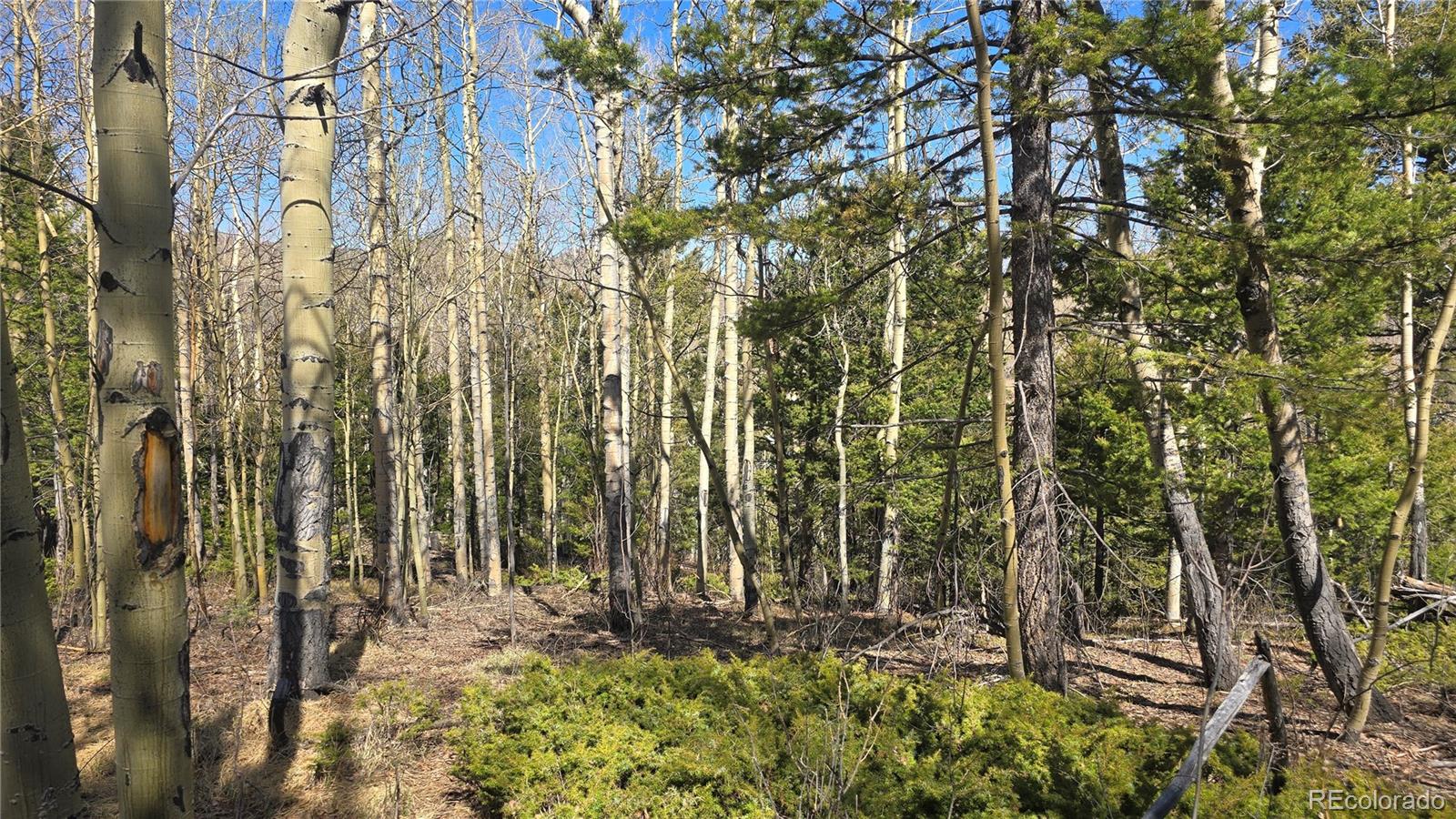 Lot 6708 Debbie Road