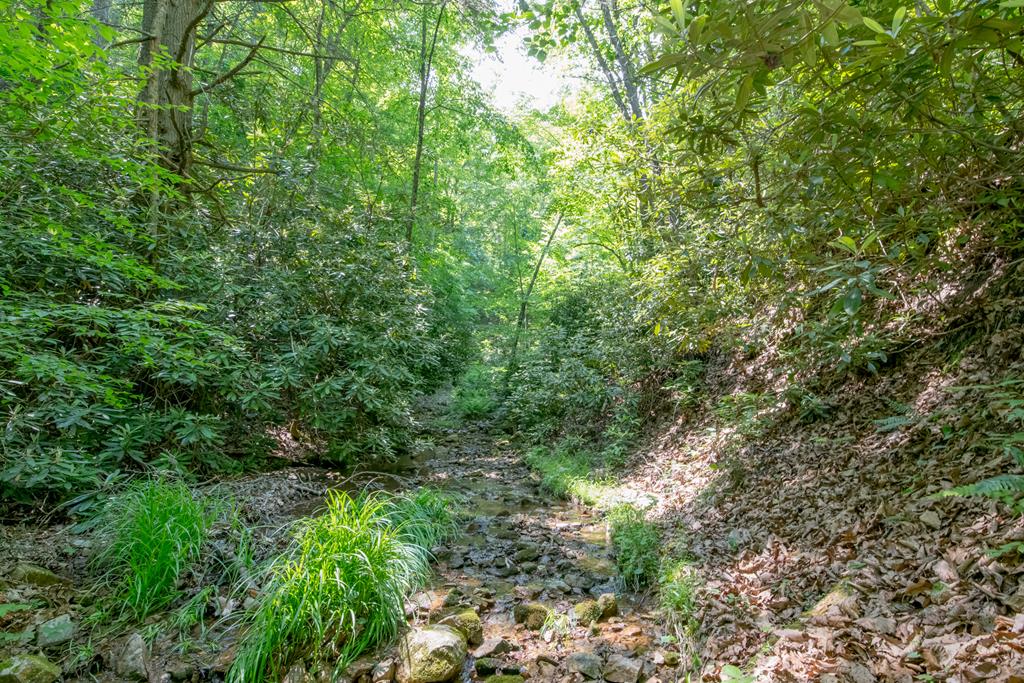 Indian Valley, Virginia 133 Acre Gator Mountain Rd, Indian Valley, VA