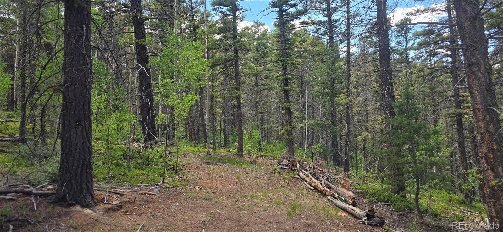 Lot 5778 Balleroy Road