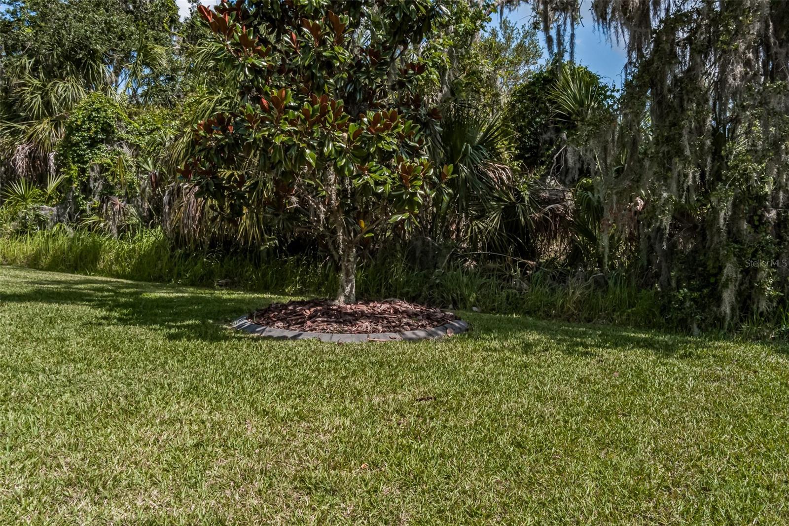 7312 Mill Hopper Court