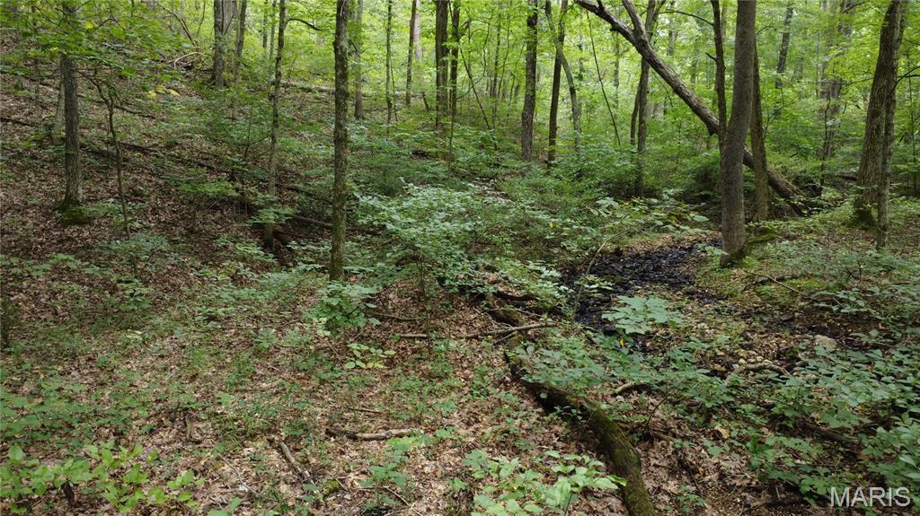 10223 San Juan Trail