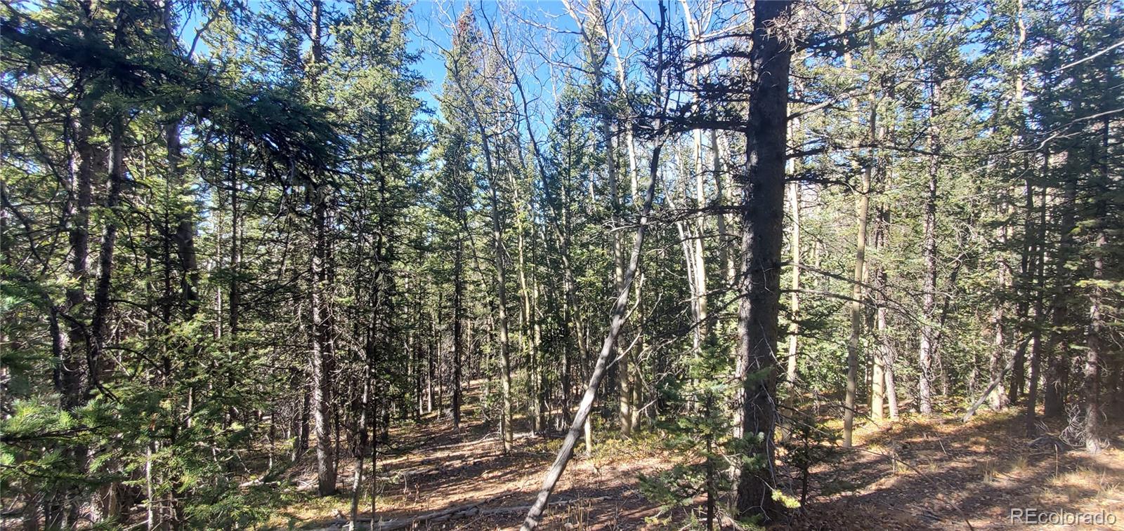 Lot 6581 Ackerman Road