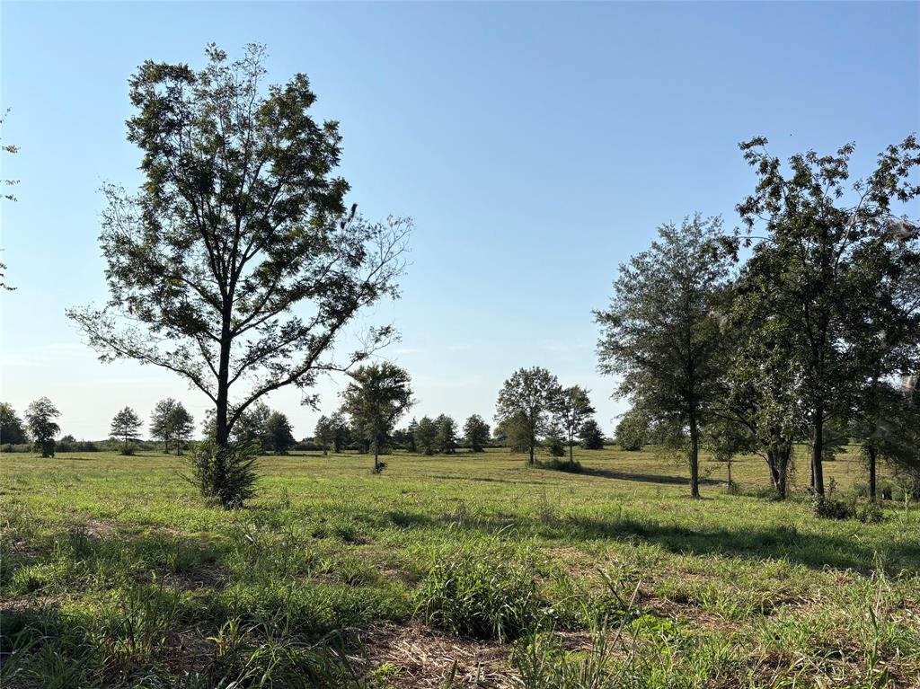 Recently cleared tract that offers a great hilltop building site with large shade trees overlooking the property. Just over 35 Ag exempt acres on a corner tract  with over 1800' of road frontage on Farm to Market and Hopkins CR 2425. The rolling elevation change make a natural site to build your own private lake for your enjoyment and recreation. The large ranch to the east provides some privacy and wildlife. This sandy soil tract offers multi opportunities for several home sites, barn, shop, animals, garden spot, recreation and much more! Located in the popular Como Pickton CISD and only a few minutes from Sulphur Springs, Winnsboro for shopping, great dining and festivities. Only about 15 minutes to Lake Fork and all the fishing you could desire. Property will need a water well and electric service is provided by Farmers Electric Co-op. If you are looking for opportunities, this is it!