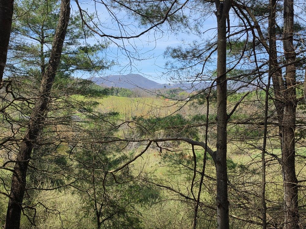 Escape to the mountains with this 16.6+/- acre unrestricted wooded tract featuring privacy, good views, and endless possibilities. A beautiful ridgetop offers a cabin site with scenic views, while old road beds provide access for exploring, hunting, and riding side by side vehicles throughout the property. A spring on the land adds to its appeal, and the acreage is loaded with trophy-size wildlife, making it a true haven for nature lovers and sportsmen alike. Located just minutes from the New River, public boat landing, and the Town of Independence, this property is ideal for a weekend retreat, hunting property, or homesite. Call Today!