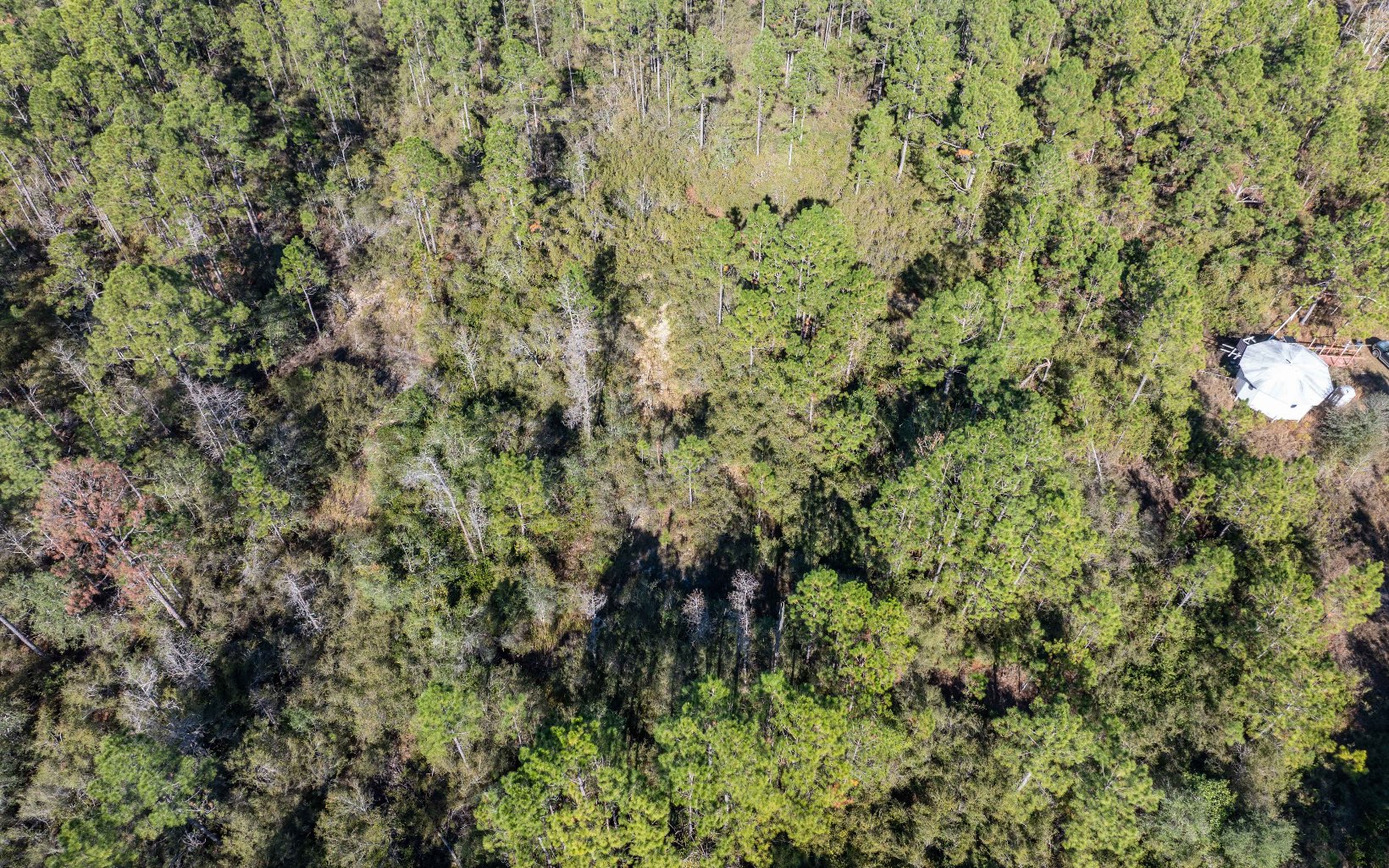 1032 SW Van Buren Rd