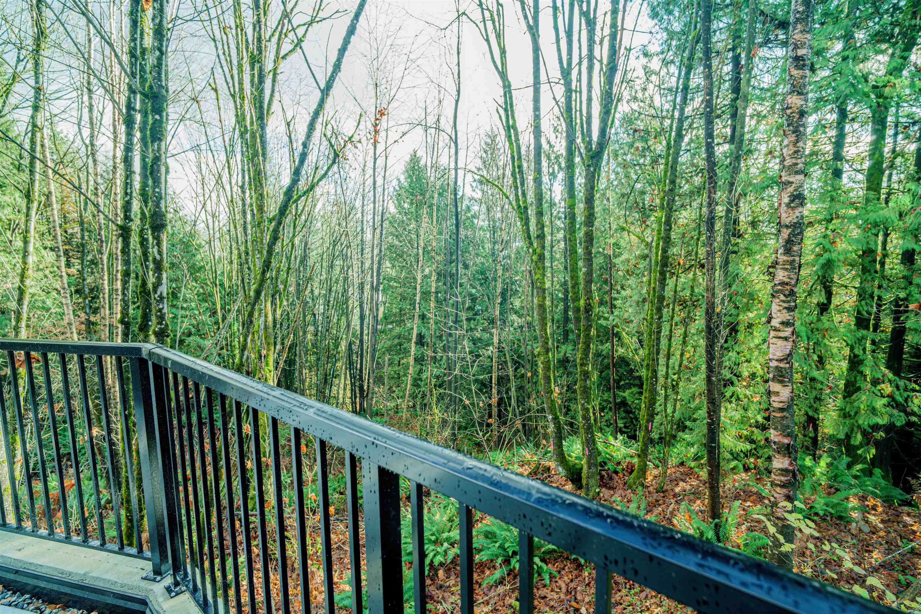 32690 14th Avenue 225