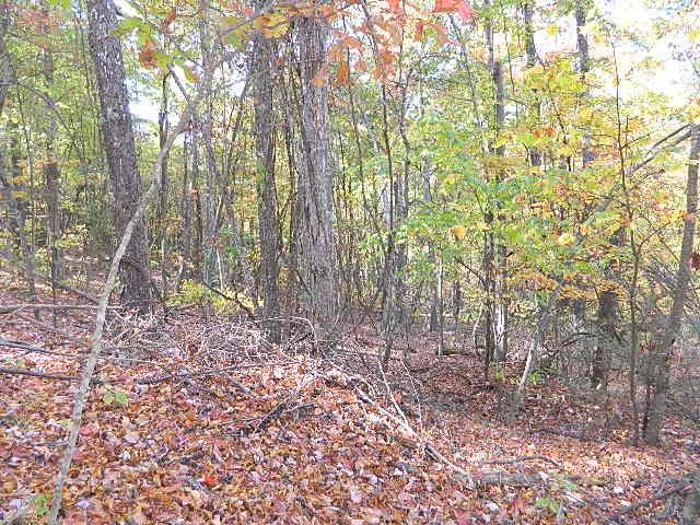 View this first time offering for this wooded 2.45 acre lot since the auction in 1995. Wooded and private. Good hunting abounds.
