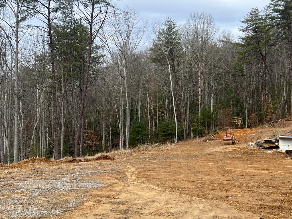 Tiny Home–Friendly Lot in Prime Murphy Location! Level and usable .19+/- acre lot ideal for a tiny home or efficient mountain retreat. Property offers shared water and septic, saving time and upfront development costs. Conveniently located at 12216 Hwy 64, Murphy, NC, just minutes from downtown Murphy, shopping, dining, and everyday essentials. Easy access, gentle terrain, and a great spot for low-maintenance living or investment. Enjoy the beauty of the mountains without sacrificing convenience!