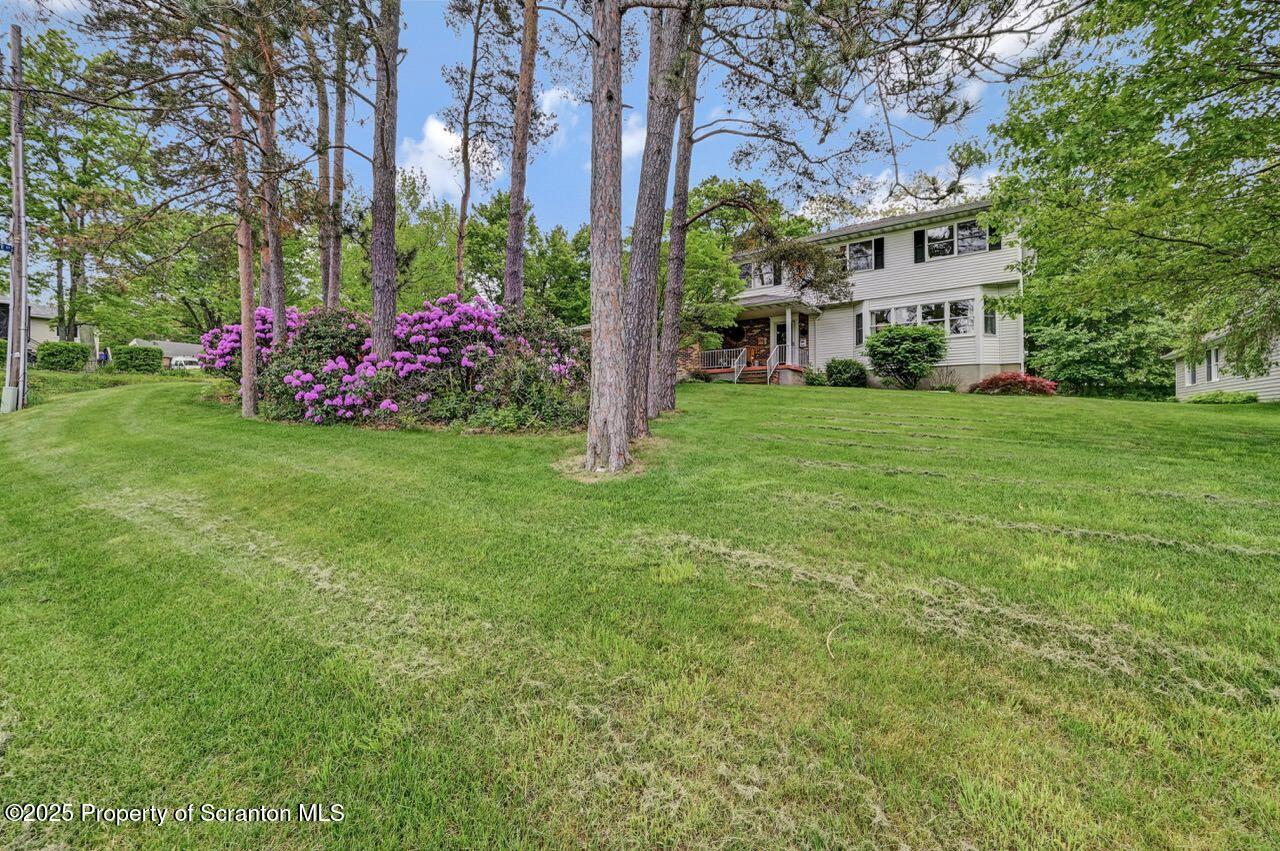 1001 Woodland Way
