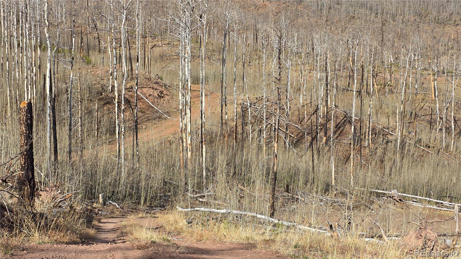 Lot 880 Slaoui Place