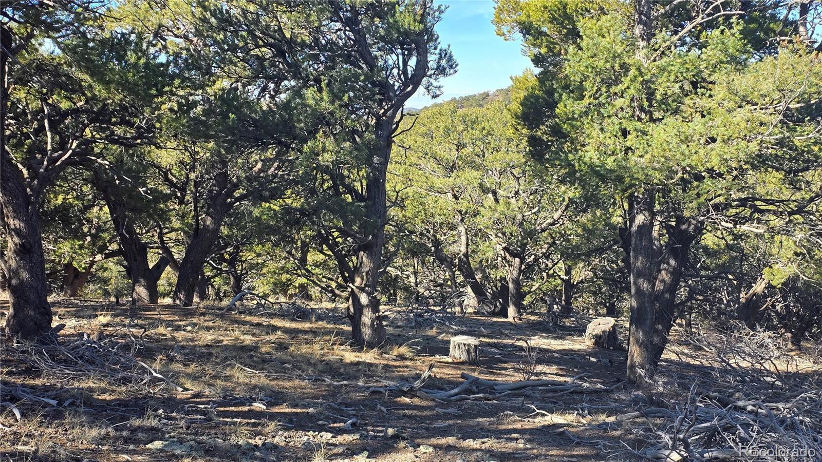 Lot 4510 Iannelli Road