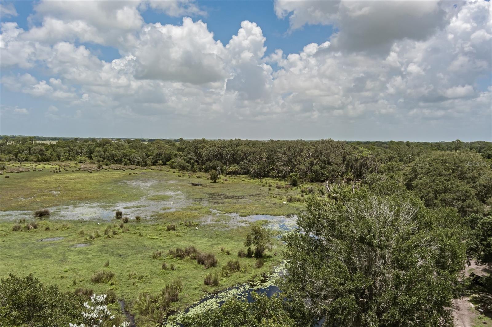 43355 Clay Gully Road