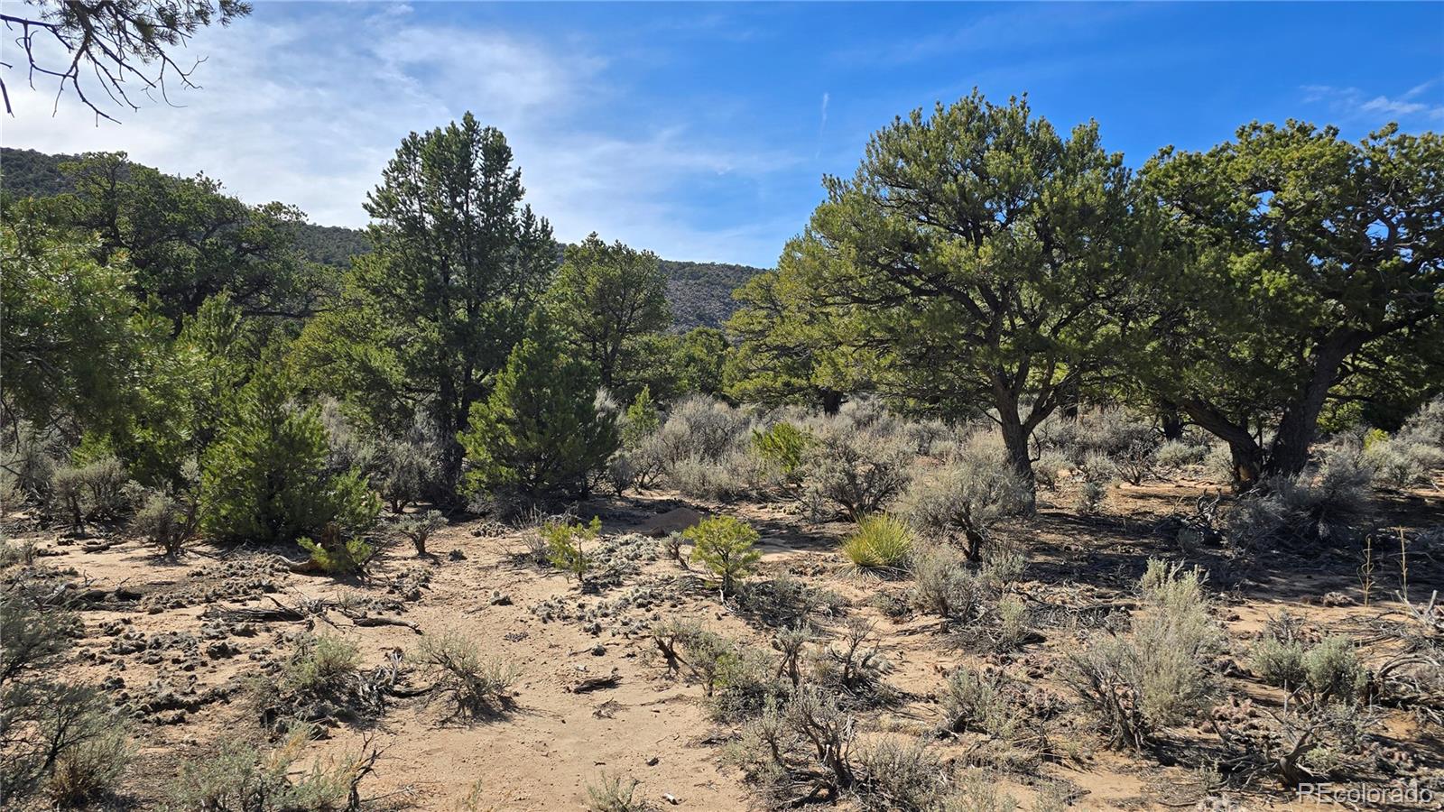 Lot 409 Williams Road