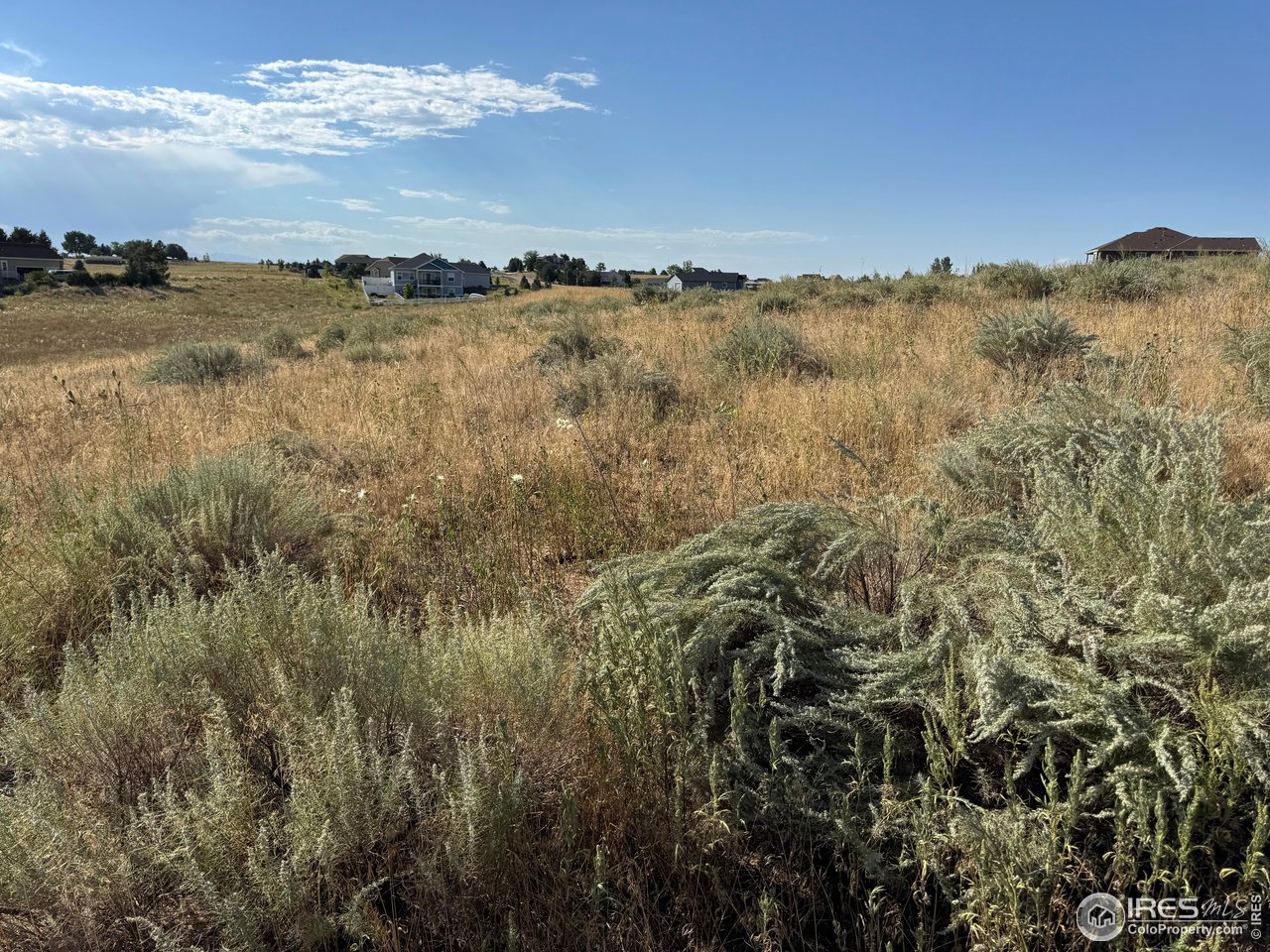 3.6 acres of open space to build your dream home on. Mountain views to the west and Milton lake views to the east. Perfect for a home with a walk-out basement. Property allows for horses, & backs up to riding trails. Pelican Lake Ranch has equestarian facilities, as well as an outdoor swimming pool, park, tennis/basketball courts, walking trail, fishing pond & so much more. If you desire open space, quiet, views of wild life (eagles, hawks, turtles, fox, owls, coyotes) love the night skies, then this is the acreage for you! There is an HOA and is in a Metro District, both with very low fees. Listing agent lives across the street from property. Please call for a showing.