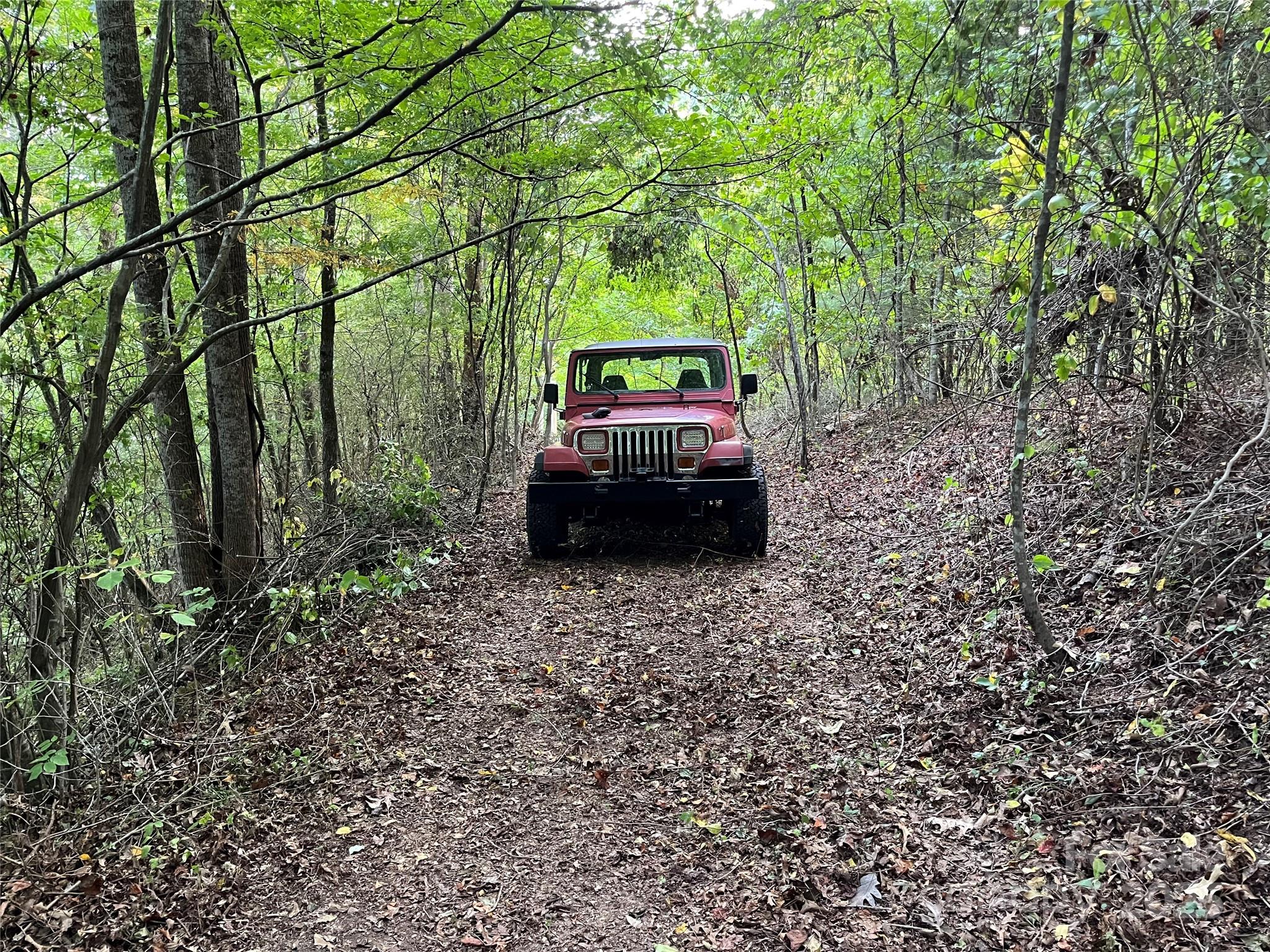 1961 Cane Creek Road