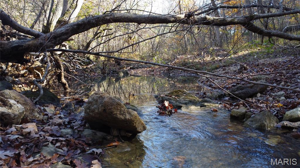 10256 Christina Trail