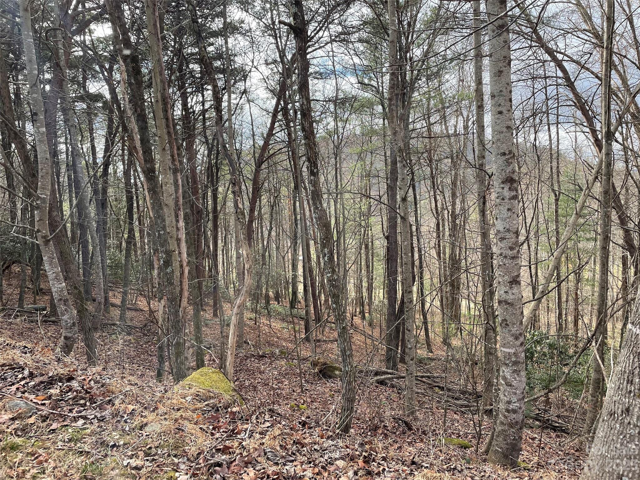 Hendersonville North Carolina Land for Sale at 89 Hawke Woods Road NC