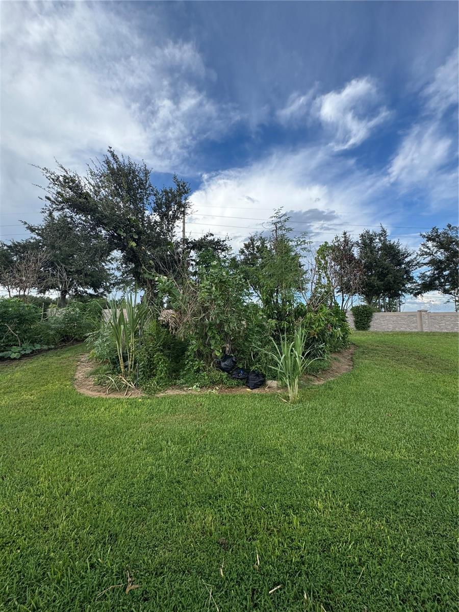 3538 Heart Pine Loop