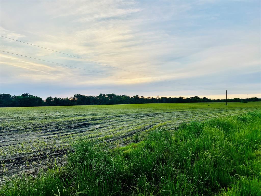 This 51.72-acre slice of agricultural heaven offers endless possibilities. With a serene pond reflecting the Texas sky, it's your canvas for a dream home or a cozy family homestead. Plus, it's currently ag exempt, keeping your taxes low while you enjoy the open space. Electric is available, and water is nearby.