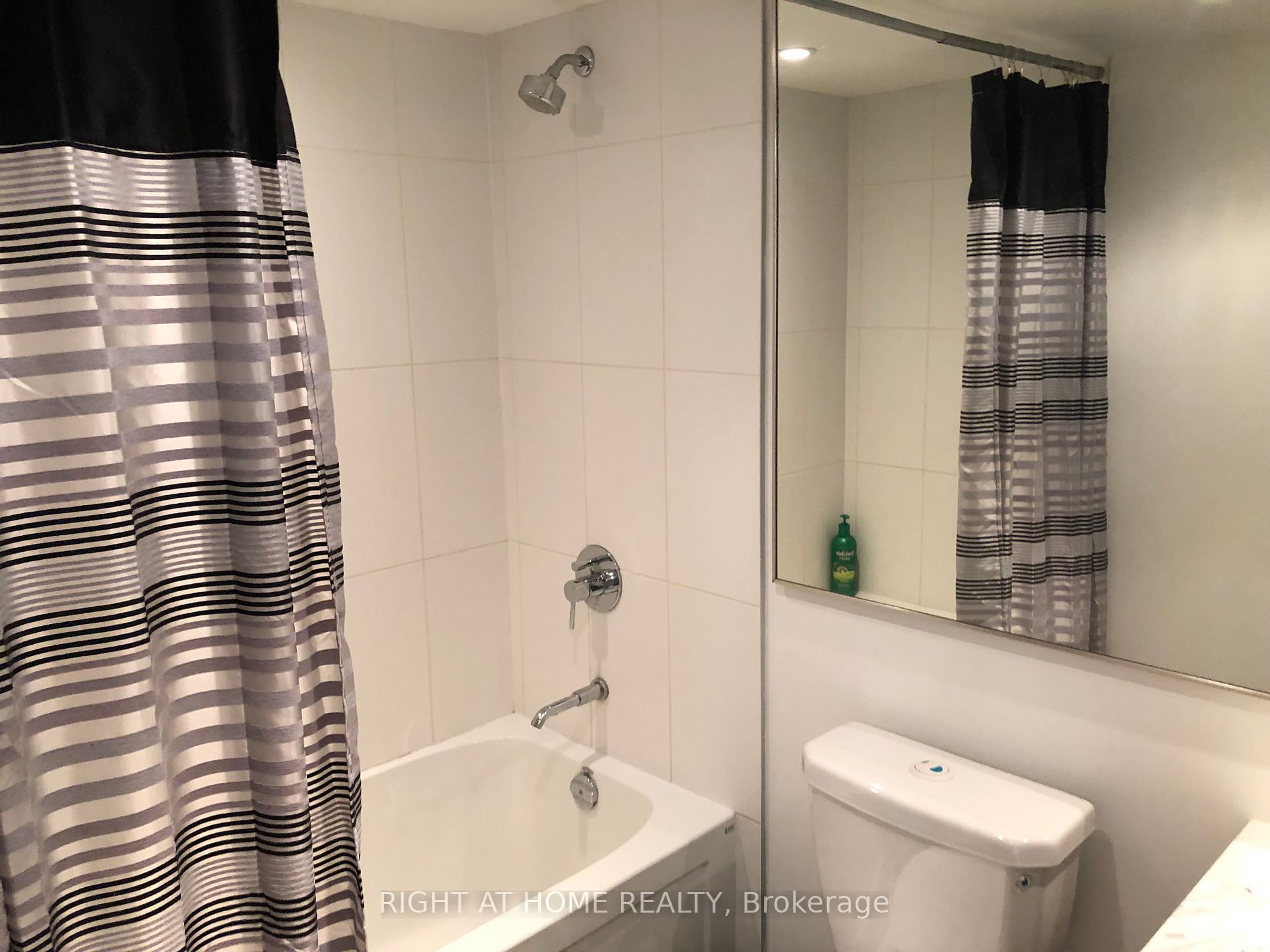 170 Fort York Blvd 205