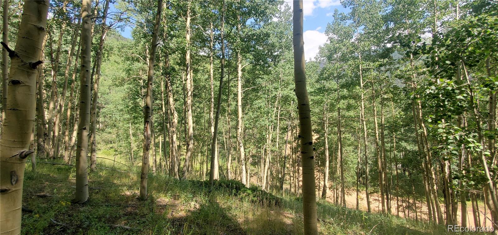 Lot 6882 Donna Road