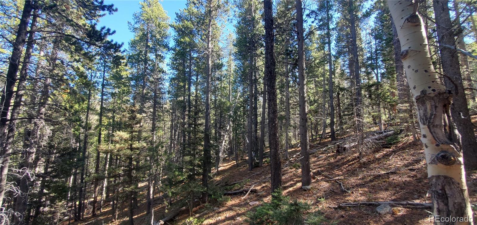 Lot 3023 & 3024 Bolwell Lane