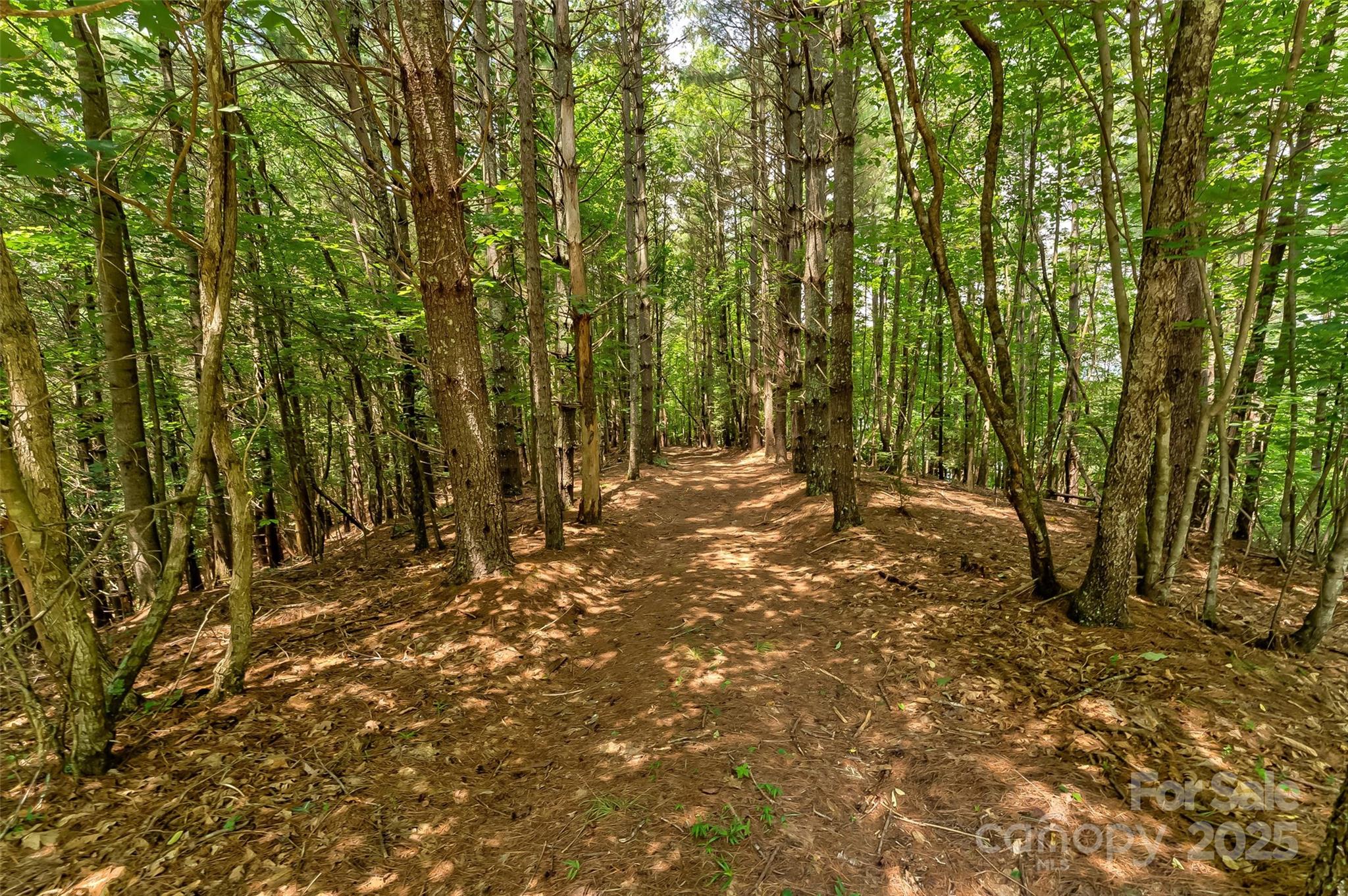 159 Deer Berry Drive 62