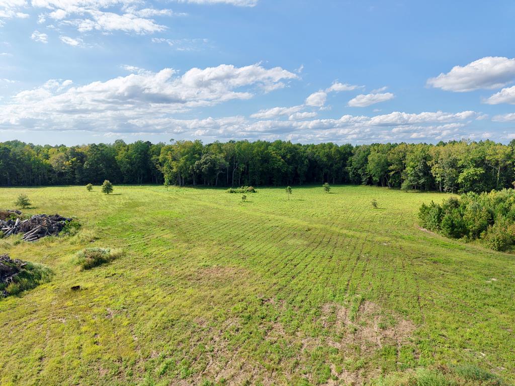 An exceptional investment opportunity awaits on Gray Farm Road in Temperanceville, VA. This 25.27-acre parcel is currently zoned agricultural but has been platted and approved by the county for eight large residential lots, making it an ideal prospect for developers or investors. Located in a peaceful rural setting on Virginia's Eastern Shore, the property offers both privacy and convenience, with easy access to nearby amenities, Chincoteague Island, major roadways, and a public boat ramp just minutes away—perfect for those who enjoy coastal living and outdoor recreation. Whether you're ready to move forward with development or looking to secure land for future growth, this approved subdivision presents endless possibilities for creating a beautiful new residential community.