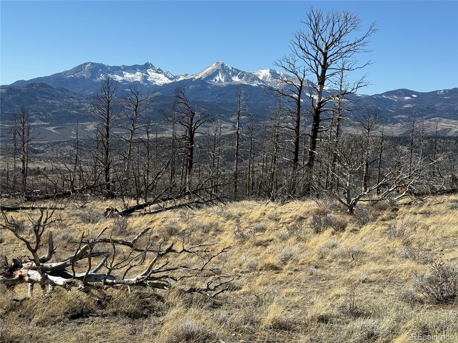 Lot 385 Soubry Place