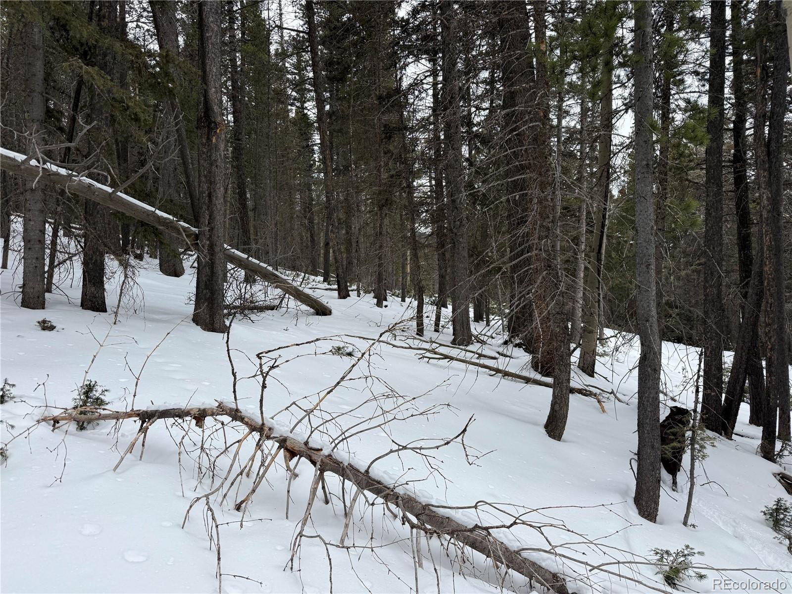 Lot 2759 Purnell Lane