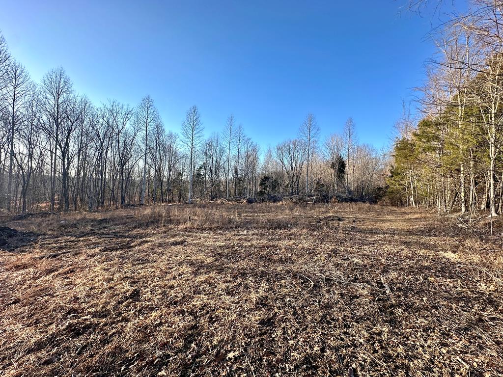 97.88 AC Hensley Cemetery Ln